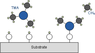 Self-limitesd reaction of TMA and OH groups