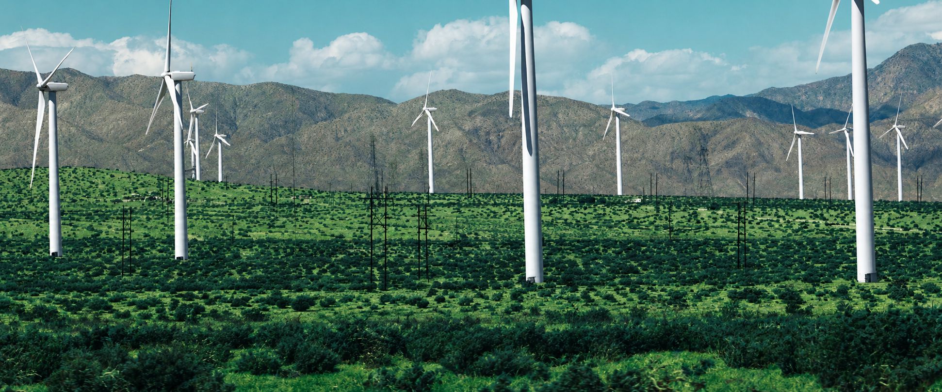 banner3